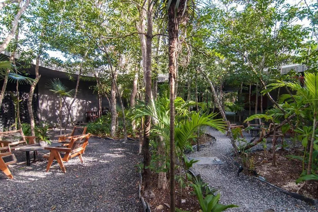 Apartment Spectacular Villa Gaia/Ph/Private Pool Tulum Mexico