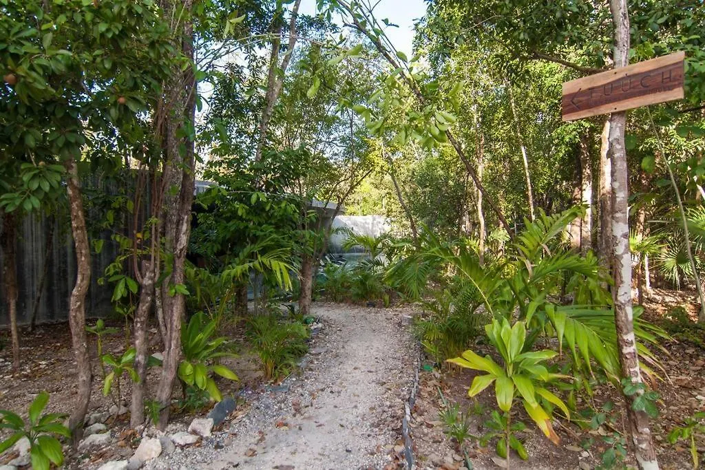 Spectacular Villa Gaia/Ph/Private Pool Tulum 0*,
