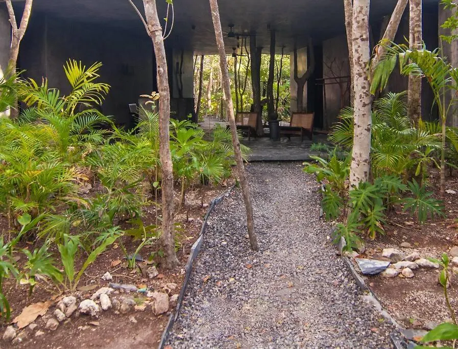 Spectacular Villa Gaia/Ph/Private Pool Tulum 0*,  Mexico